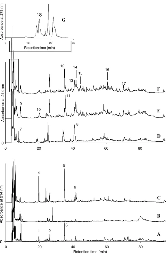 Fig. 2. RP-HPLC proﬁles of the water-soluble extracts obtained from single-culture fermented milks (A: FM3, L