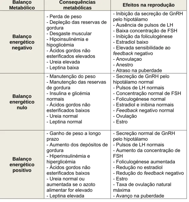 Tabela 3: Algumas das associações conhecidas entre o balanço energético e a  reprodução (Scaramuzzi et al., 2006) 