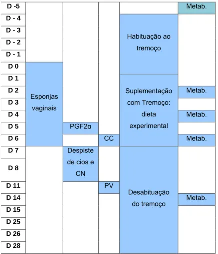 Tabela 9: Calendário das actividades realizadas no ensaio (Metab. = recolhas de sangue  para doseamento de albumina, ureia, AGNE, glucose, insulina) 