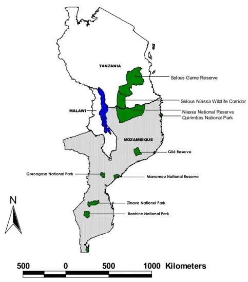 Figure 2 -Selous-Niassa Wildlife Corridor linking Niassa Reserve and Selous Reserve, and adjacent areas