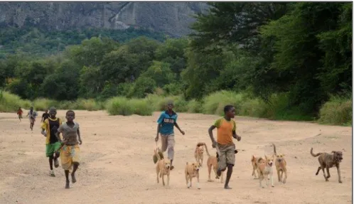 Figure 5 - Local children running with several domestic dogs (Source: Niassa Lion Project) 