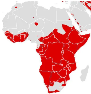 Figure 12 – Present distribution of the Leopard in Africa (Source: Cat Specialist Group Web Portal