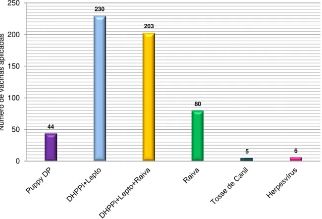 Gráfico 