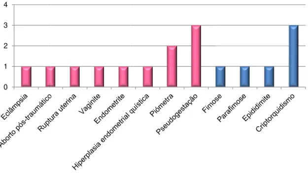 Gráfico 13