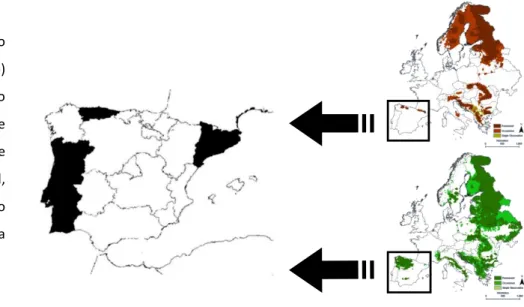 Figura  1.  Distribuição  europeia  do  urso-pardo  (sup)  e  do  lobo  (inf)  e  situação  geográfica  das  três  áreas  de  estudo  usadas  na  análise  de  prejuízos  e  notícias:  Portugal,  Catalunha  e  as  Astúrias,  ao  oeste, nordeste e noroeste d