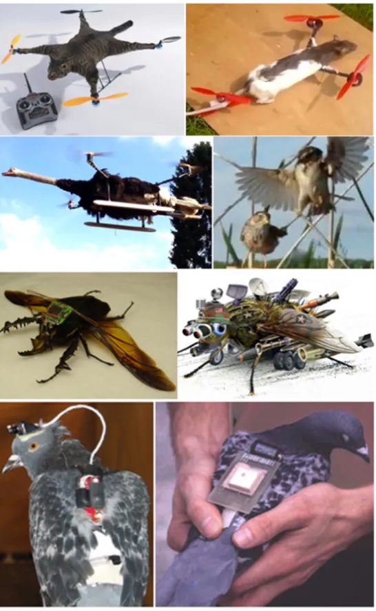 Figura 2.5: Exemplos de bio-drones (Hassanalian e Abdelkefi, 2017a).