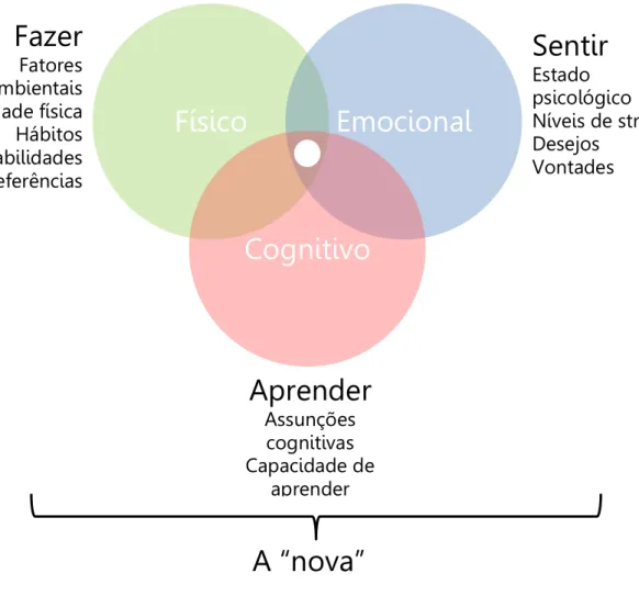 Figura 1 - Esquema de Daniel Eizans (2010) 