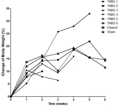 Figure 7. Gross morphology damage score during the development of TNBS-induced  colitis