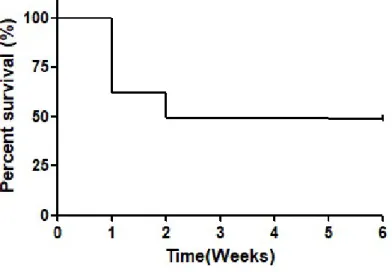 Figure 8. Effect of TNBS-induced colitis on survival in the IBD.