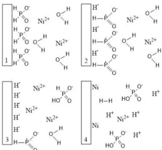Figura 2.12: Esquema representativo do mecanismo simplificado de deposição electroless do níquel (II), usando hipofosfito  de sódio como agente redutor