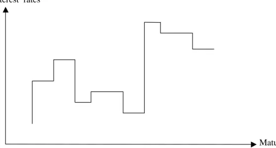 Fig. 1  Broken line type of yield curve acceptable under the Market Segmentation Hypothesis