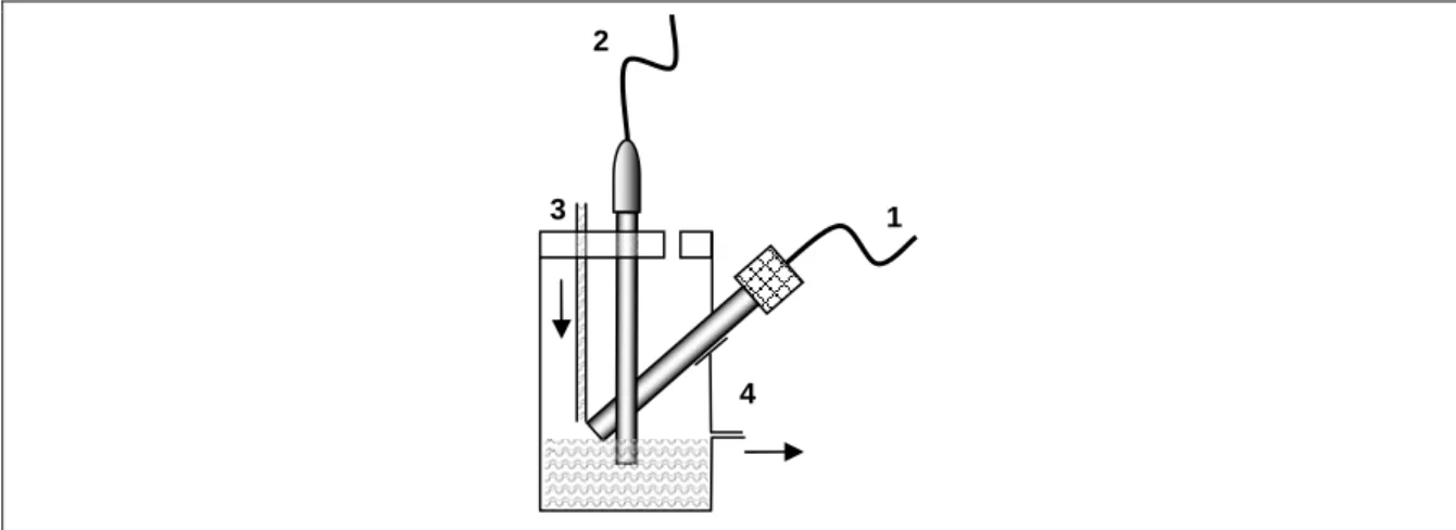 Figura  1.2  –  Esquema  representativo  do  acoplamento  de  um  eléctrodo  indicador,  baseado  no 