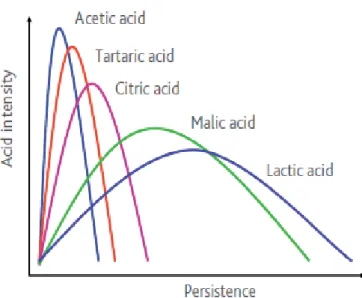 Figure 1.8. Effect of the acids on mouthfeel sensations: Intensity and Persistence. Source: Laffort