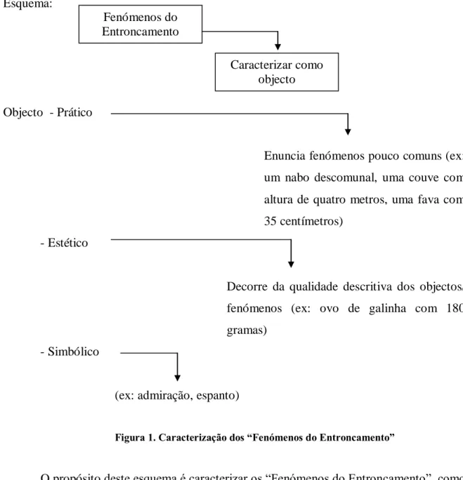 Figura 1. Caracterização dos “Fenómenos do Entroncamento” 