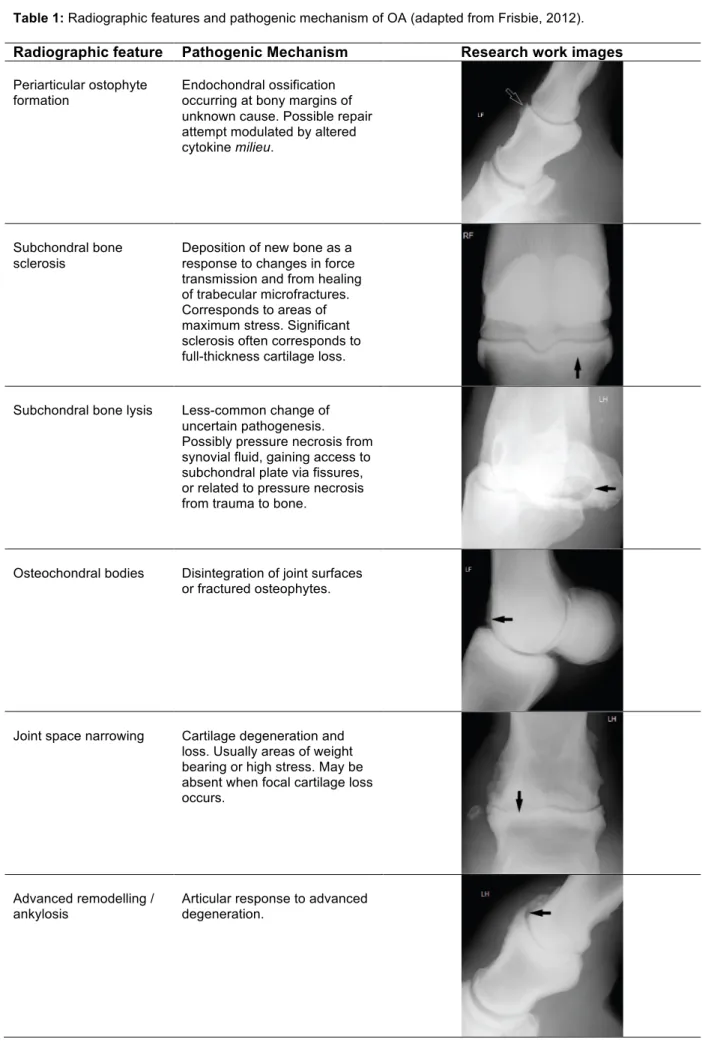 Table 1: Radiographic features and pathogenic mechanism of OA (adapted from Frisbie, 2012)