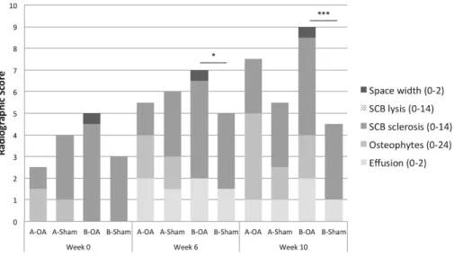 Figure 6: Radiographic scores at week 0, 6 and 10. Median radiographic total scores (0-56) of evaluated features  in  ASCs-γ  treated  group  (Group  A,  n  =  6),  vehicle  treated  group  (Group  B,  n  =  4)  and  respective  sham-joints