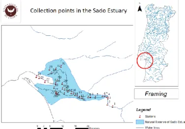 Fig  1  Sampling  points  in  Sado  Estuary  with  blue  area  indicating  limits  of  the  Natural  Reserve Area 