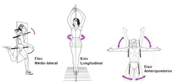 Figura 2.2 – Os três eixos anatómicos de referência: eixo médio-lateral, longitudinal e  anteroposterior (M