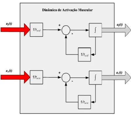 Figura 3.13 - Dinâmica de Activação Muscular sob a forma de modelo de estado. 