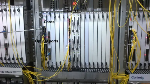 Figure 1.1: Network Element.