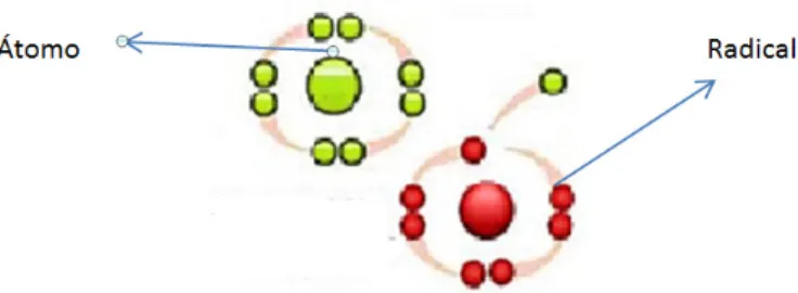 Figura 8. Exemplo da formação de um radical livre a partir de um átomo (imagem retirada de  http://valeriafisiodermato.blogspot.pt/2011/01/combata-os-radicais-livres.html).