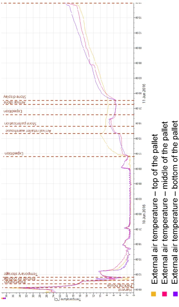 Figure  12  -  External  air  temperature  measured  from  harvest  until  storage  in  consumer  refrigerator  at  different places of the pallet