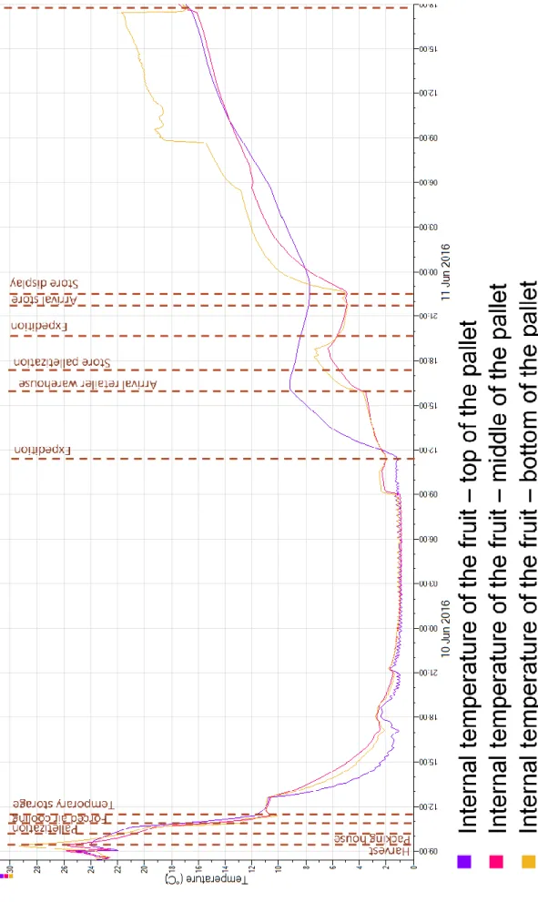 Figure 13 - Internal temperatures of the fruit from harvest until storage in consumer refrigerator at different  places of the pallet