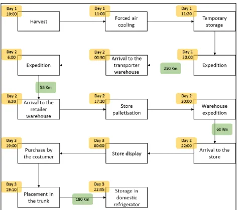 Figure 14 - Strawberry supply chain from circuit 2. 