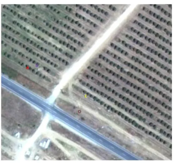 Figura 8: Fotografia do local de amostragem (Google Earth, 2012) 