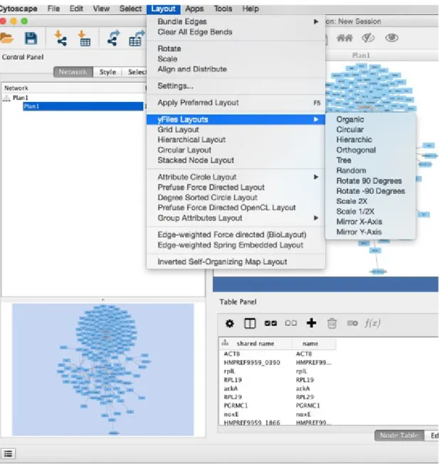 Figura  19  -  Escolha  do  Layout,  recorrendo  às  funcionalidades  do  programa  Cytoscape