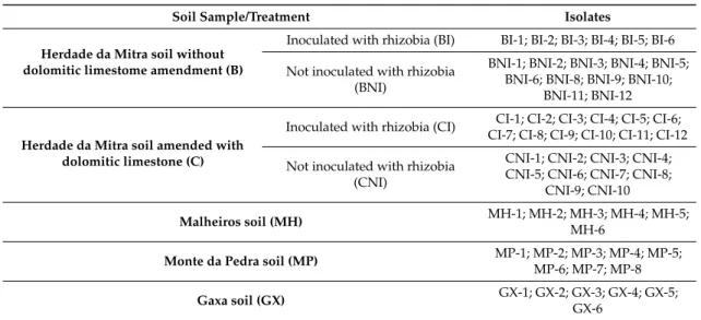 Table 1. List of the endophytic bacteria isolates obtained from each treatment.