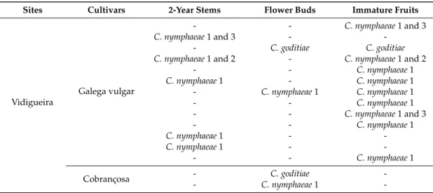 Table 1. Presence of each Colletotrichum spp. isolate (C. nymphaeae 1, C. nymphaeae 2, C