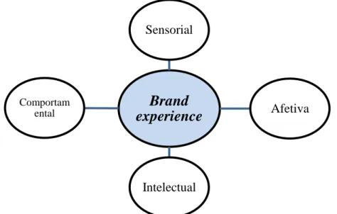 Gráfico 5- Dimensões de Brand Experience 