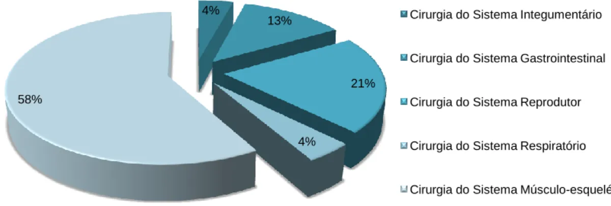 Gráfico 1 - Distribuição do número de cirurgias acompanhadas  por tipo