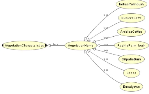 Figure 3.7. Vegetation characteristic 