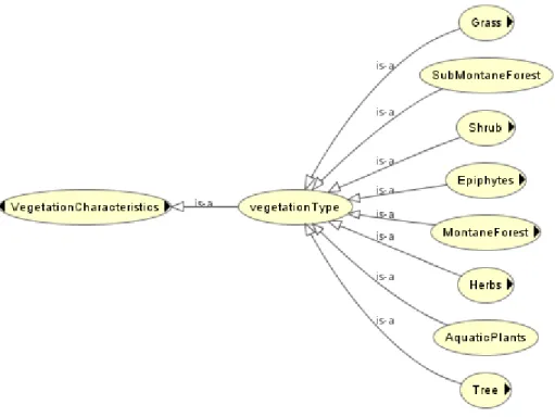 Figure 3.9. Vegetation type 
