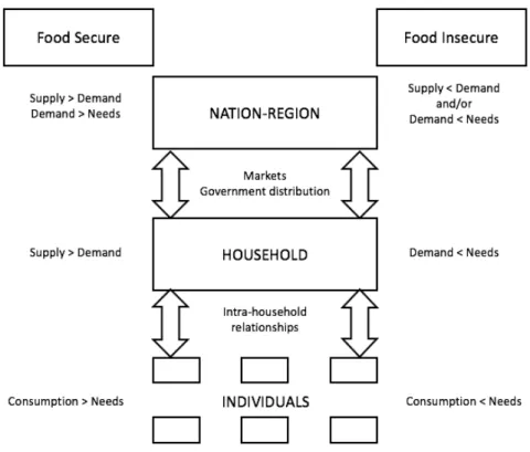Figure 1 – Levels to assess food security (Source: Thompson &amp; Metz, 1998)  
