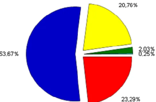 Figura n.º 12 - Análise quantitativa dos resultados da questão n.º 17  Fonte: programa QuestionMark 