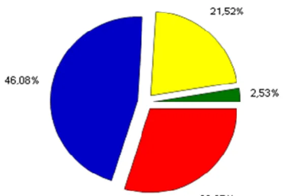 Figura n.º 13 - Análise quantitativa dos resultados da questão n.º 19  Fonte: programa QuestionMark 