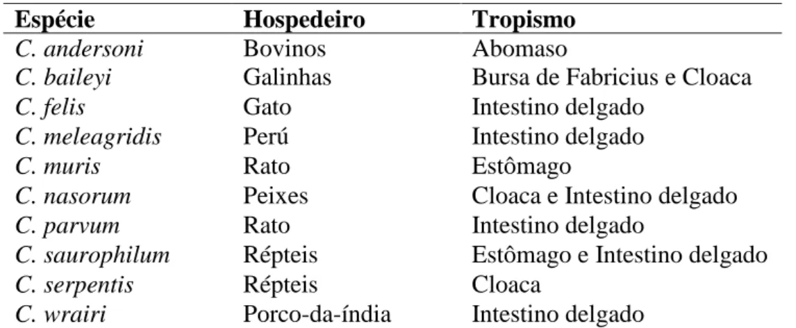 Tabela 2 - Espécies válidas de Cryptosporidium e respectivos hospedeiros principais, (Adaptado de  Fayer et al., 2000) 