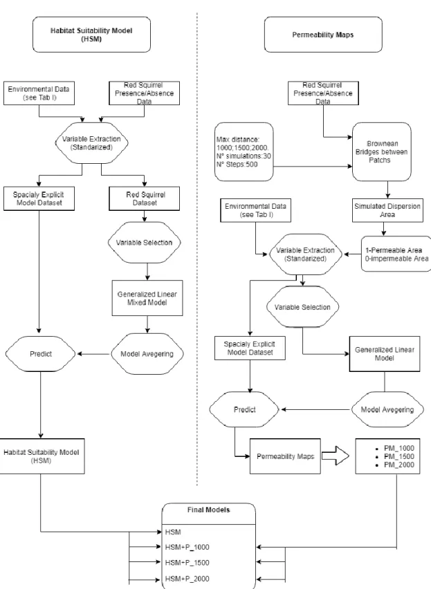 Fig. 2- Simplified scheme of the modeling procedure used in the in this study.