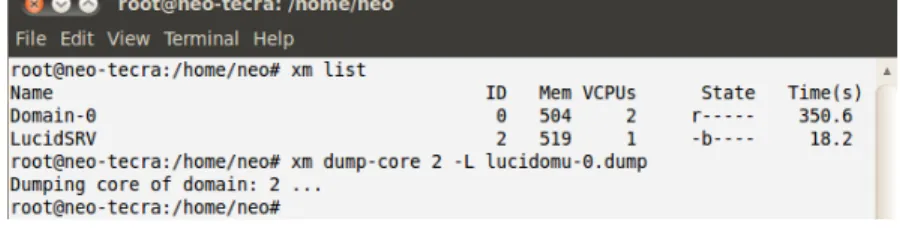 Figure 3.1: Live memory dump using Xen management user interface