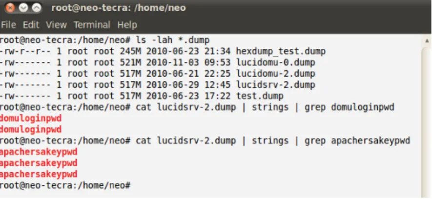 Figure 3.2: Clear text passwords found in memory dump