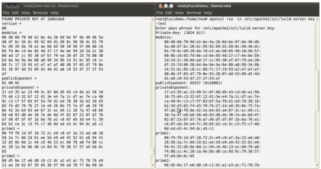 Figure 3.3: Apache web server private key compromised