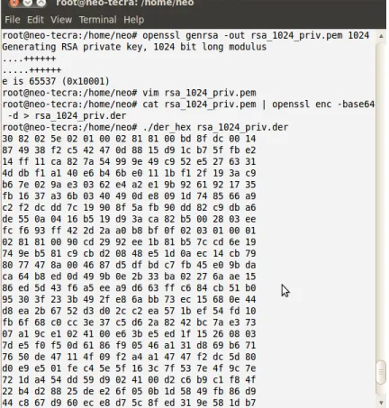 Figure 3.5: RSA private key according to ASN.1 type displayed in hexadecimal