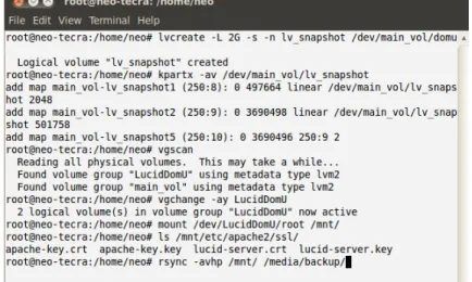 Figure 3.6: Backup an unprivileged domain LVM partition