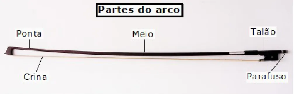 Figura 3 - Partes do arco 