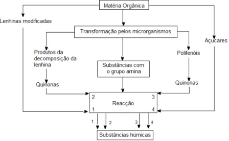 Figura 8:  Principais vias propostas para a formação do húmus (Stevenson, 1982) 