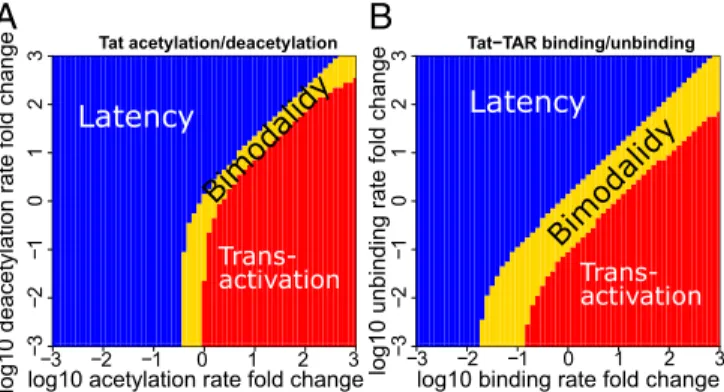 Fig. 3. Phase diagrams of cell phenotypes when perturbing the Tat acety- acety-lation/deacetylation rates and the Tat – TAR binding/unbinding rates