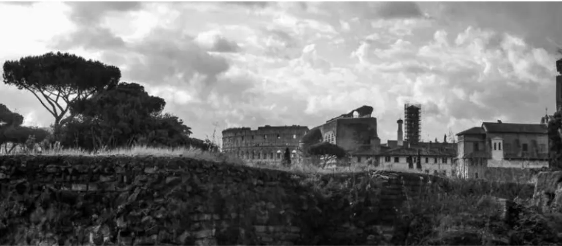 Fig. 1. Il coronamento dell’Anfiteatro Flavio emerge dalle creste delle mura del foro di Cesare.